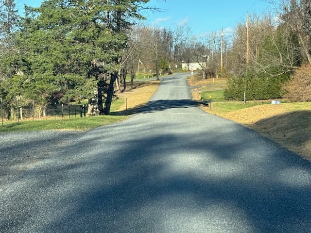 Sunlit tree-lined residential road